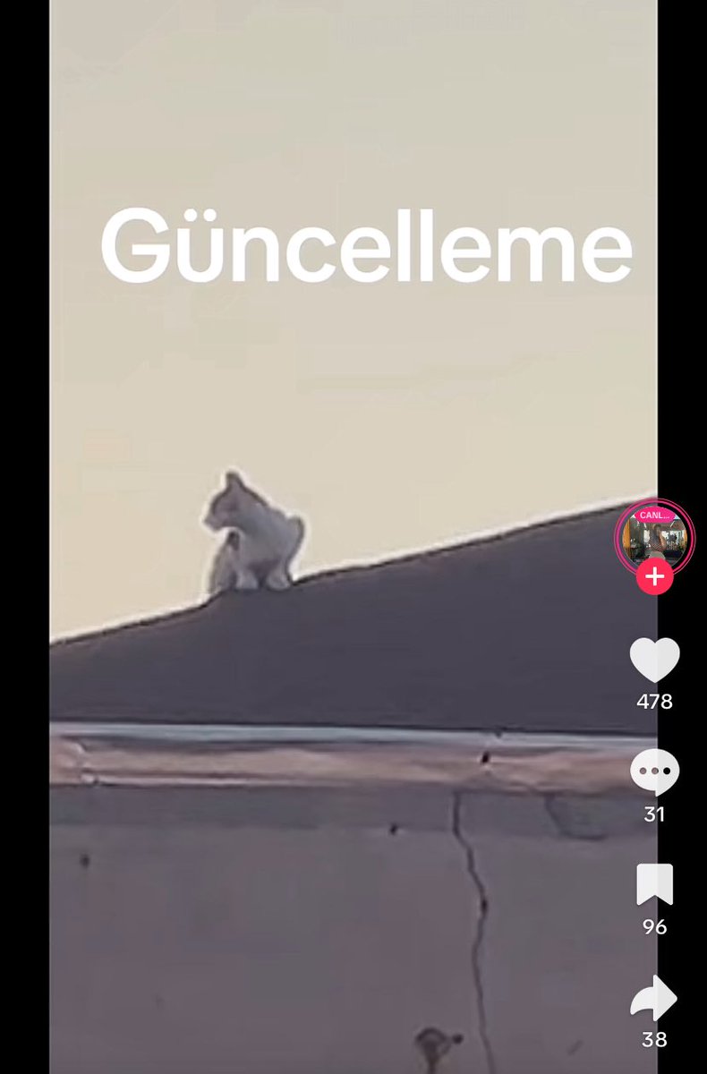 LÜFEN ACİL DESTEK KEDİYİ KURTARALIM.

Adres: Silahtarağa mahallesi yanık sokak no:8 Eyüpsultan