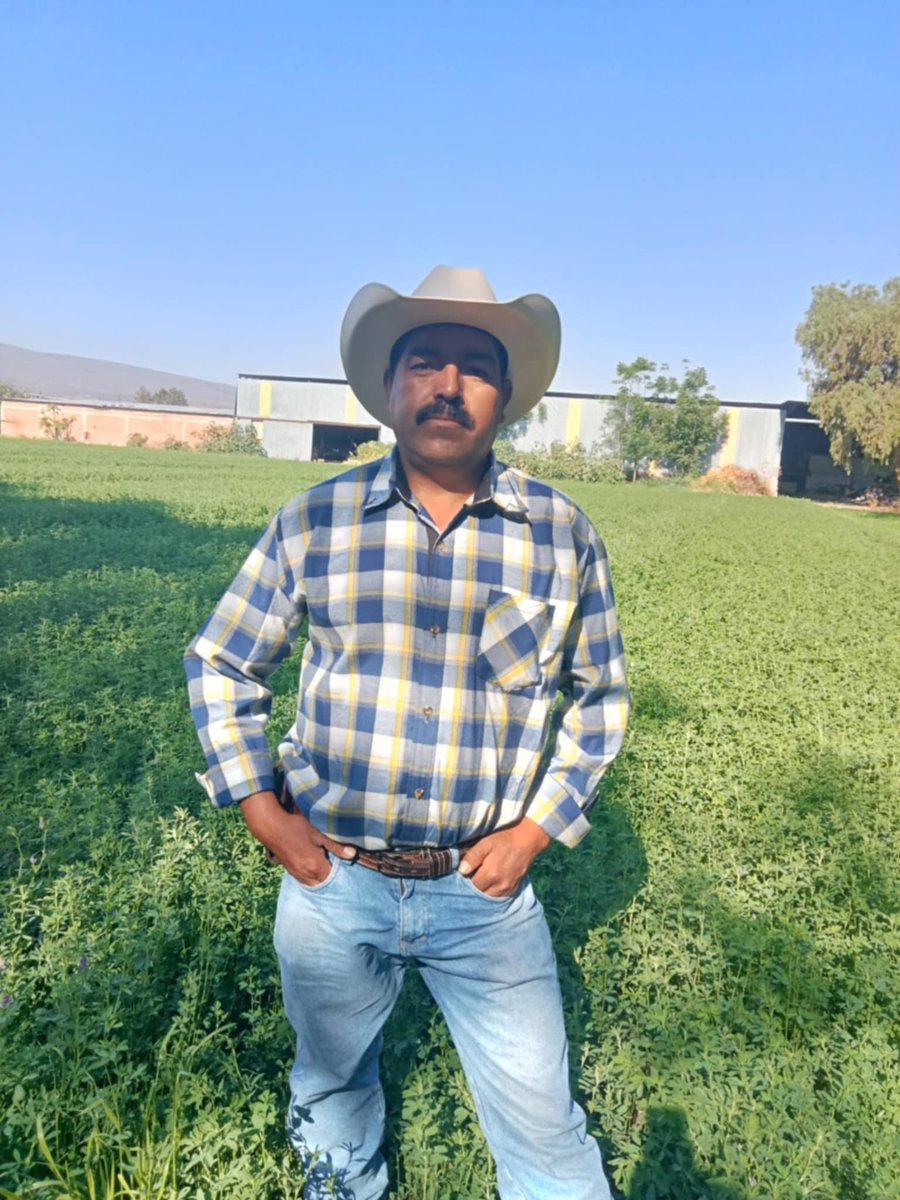 Emilio Pistolas 2.0 tweet media