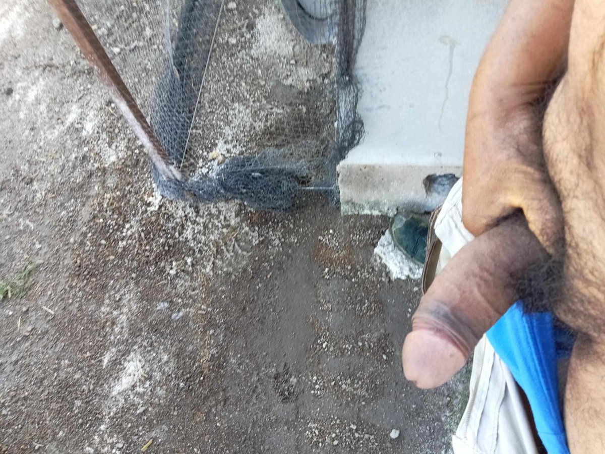 Emilio Pistolas 2.0 tweet media