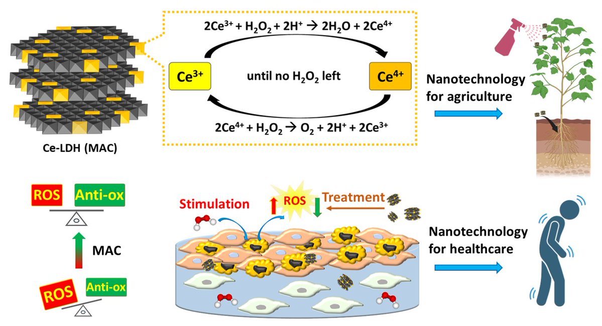 Run Zhang@Biosensing & Bioimaging (@runzhang2) on Twitter photo Intercalating Ce into #LDH nanoparticles (Ce-LDH) as a promising ROS scavenger for inflammation treatment, published in <a href="/JMaterChem/">J. Mater. Chem. family</a> #RSC #JMCB the #redox responsive #nanoclay is ready for next step applications in #agriculture and #healthcare
pubs.rsc.org/en/content/art… Intercalating Ce into #LDH nanoparticles (Ce-LDH) as a promising ROS scavenger for inflammation treatment, published in <a href="/JMaterChem/">J. Mater. Chem. family</a> #RSC #JMCB the #redox responsive #nanoclay is ready for next step applications in #agriculture and #healthcare
pubs.rsc.org/en/content/art…