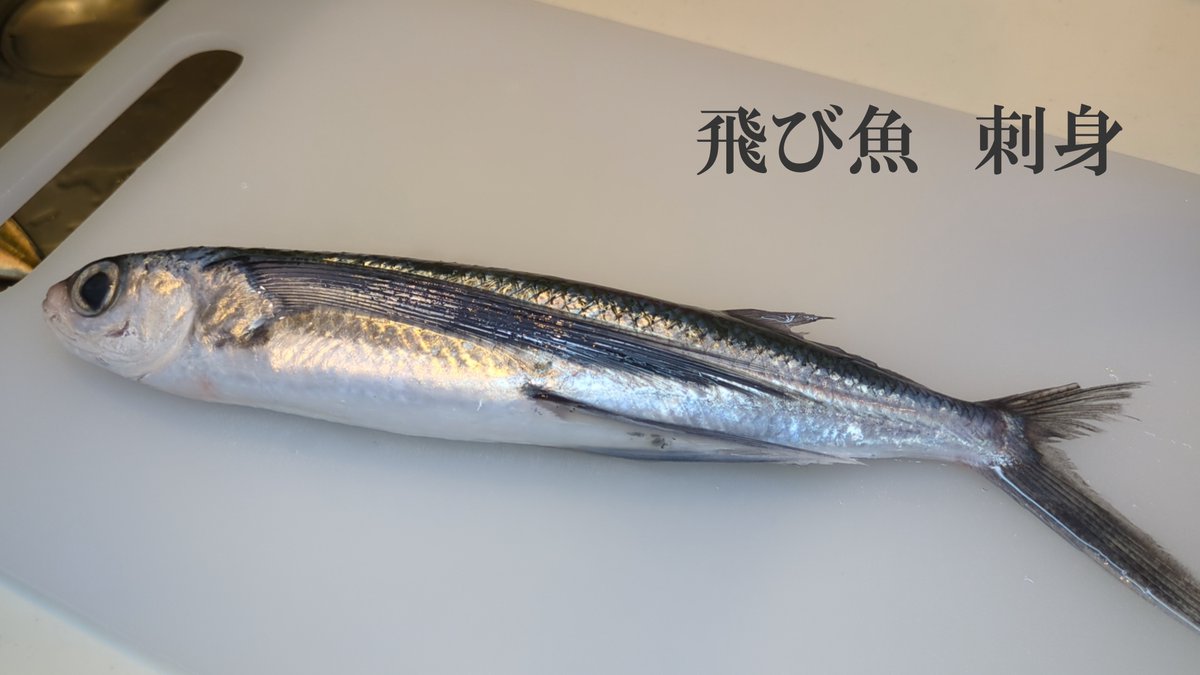 plus_cooking's tweet photo. 飛び魚（あご）を刺身から出汁まで！一尾まるごと楽しむ食べ方と活用法。飛び魚を捌きました。刺身と骨で出汁をとりました。トビウオ、飛魚
https://t.co/nmv4jptrA2 https://t.co/UKYEd8n6RY