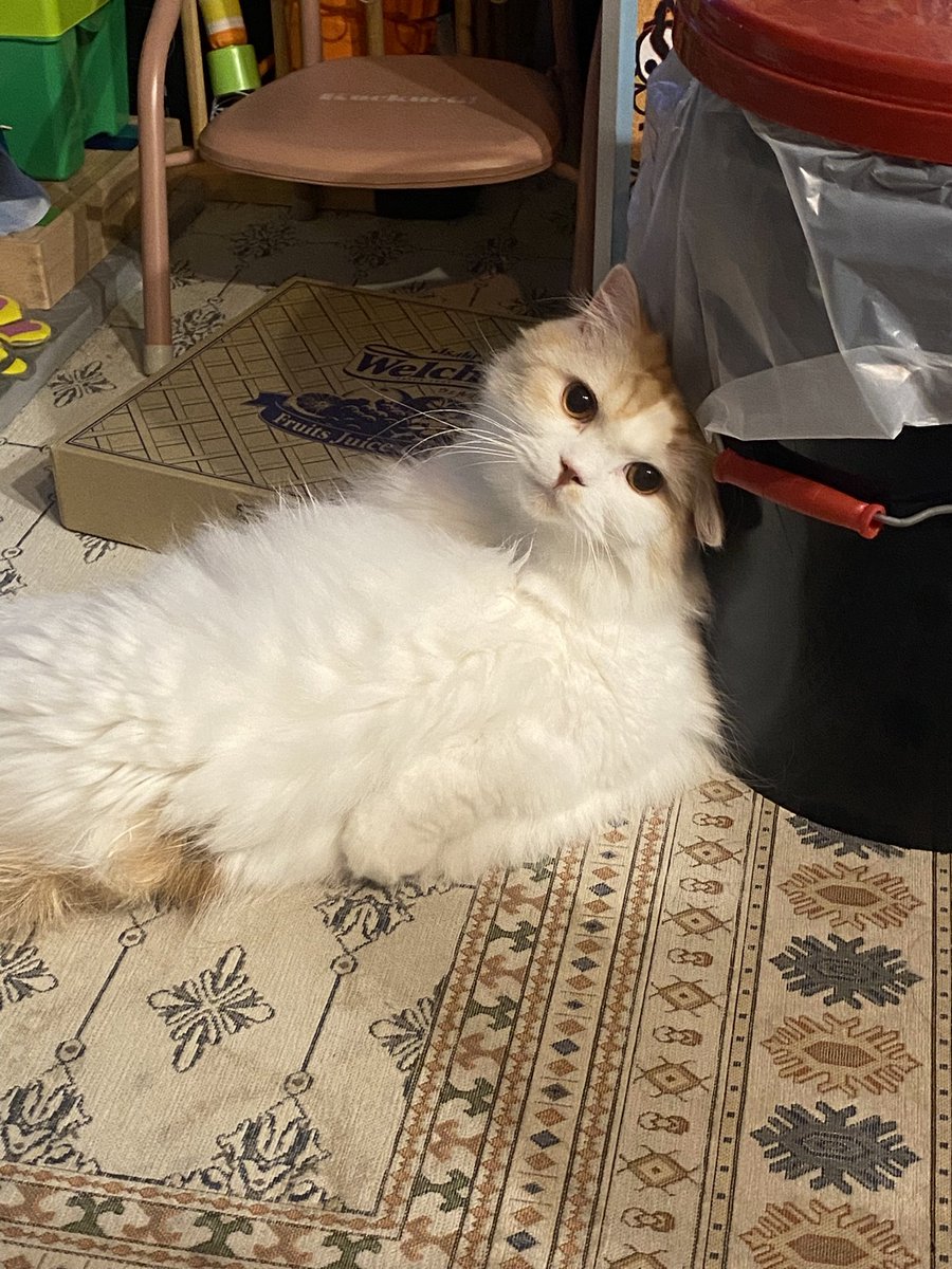 その角度つらくない？