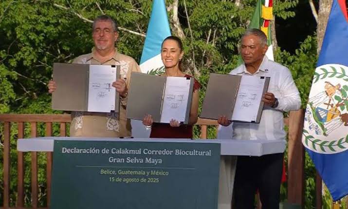 <a href="/catrina_nortena/">La Catrina Norteña</a> #ULTIMAHORA
🚨 HABEMUS Corredor Biocultural Gran Selva Maya Belice-Guatemala-México