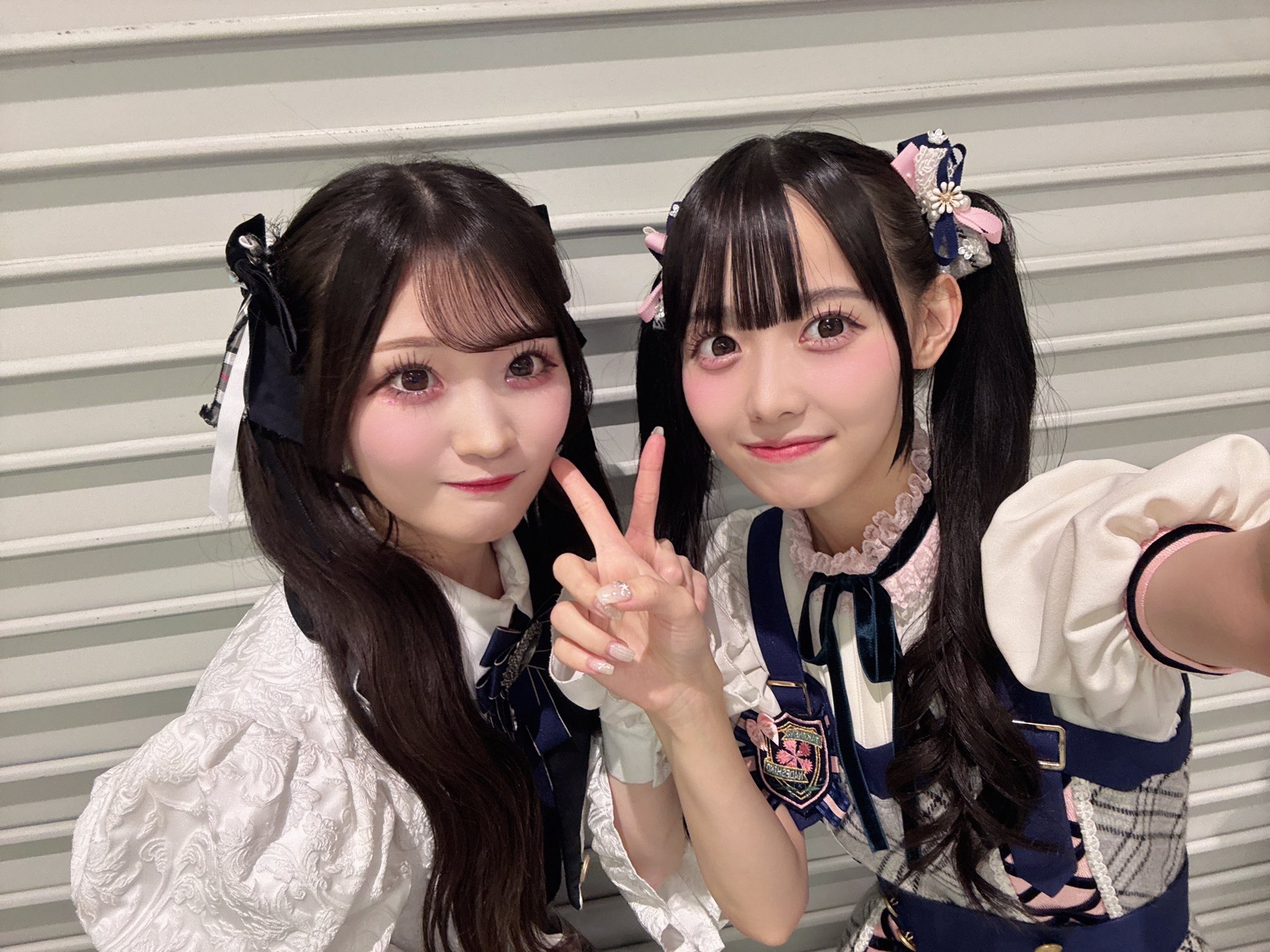 高嶺のなでしこ　松本ももな　ハロウィン2022ファンミ　ねこ生写真　コンプリート 高嶺のなでしこ 松本ももな ハロウィン2022ファンミ ねこ生写真