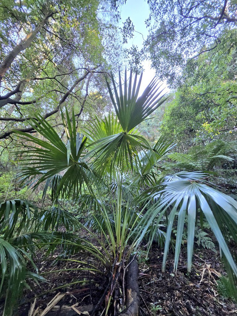 SMEEAndrew's tweet photo. I always appreciate my work views #EnvironmentalEd #publiceducation #IEEC https://t.co/n3bIdRi52M