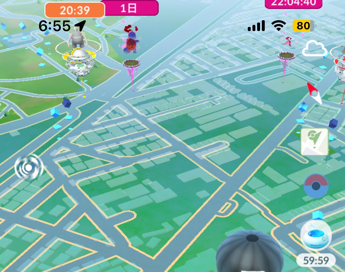 chapokego's tweet image. モーニングおさんぽおこう成功！！！(収穫なし)