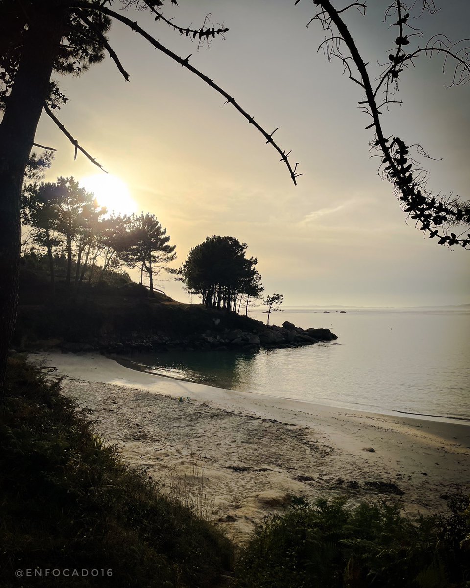 enfocado16's tweet photo. Entre el mar de O Grove y las puestas de sol de Paisaxe II, los días pasan despacio y el cielo se pinta de oro. Naturaleza, calma y recuerdos que se quedan para siempre.”
#CampingPaisaxeII #OGrove #PuestasDeSol #CostaGallega #CampingLife #MarYAtardecer #GaliciaMola #AmoGalicia https://t.co/Ymn1zlZ8qV