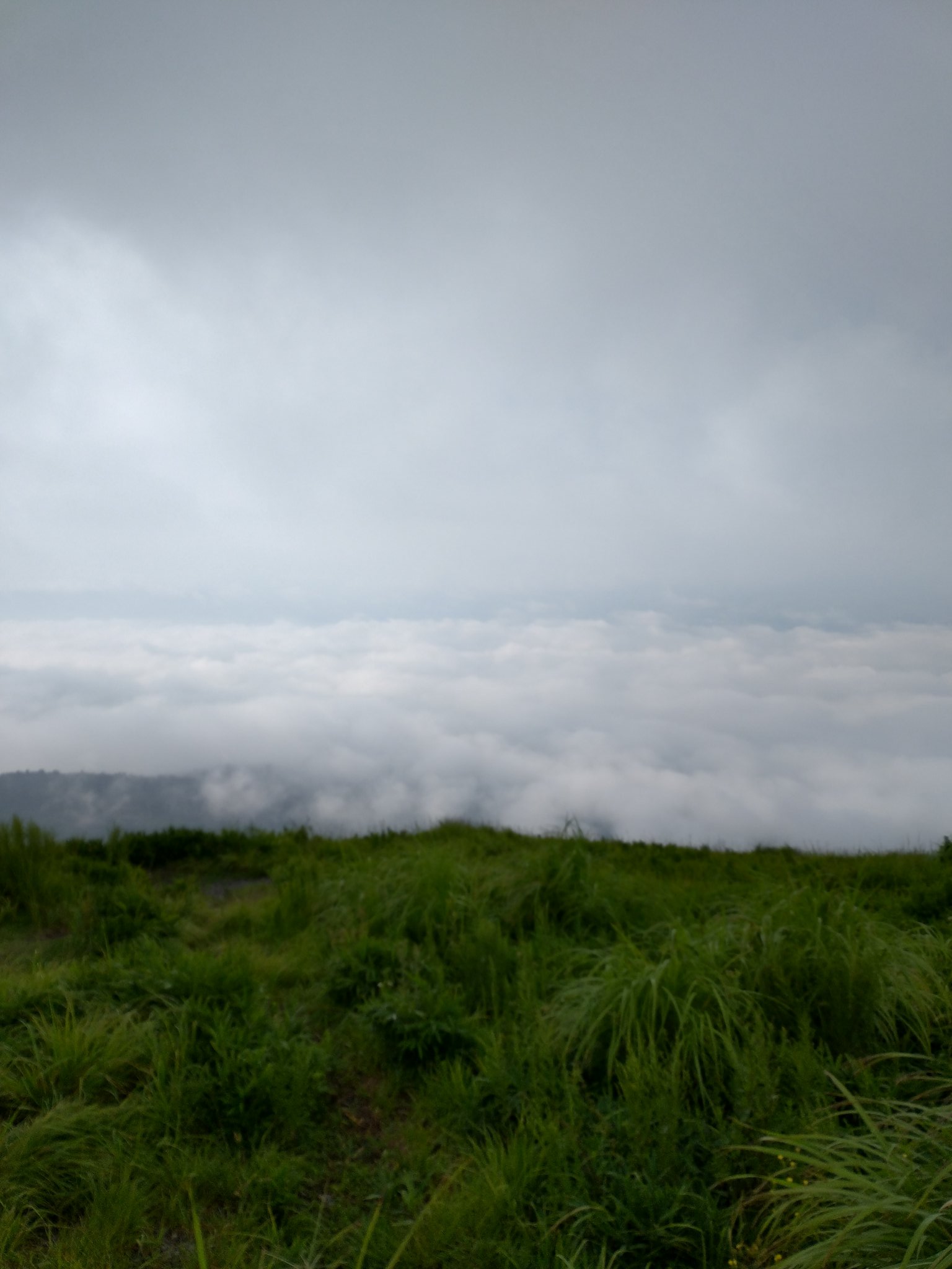 雲海 グランドセイコー 「雲海」7/8（金）発売予定✨ | WATCH | 新着