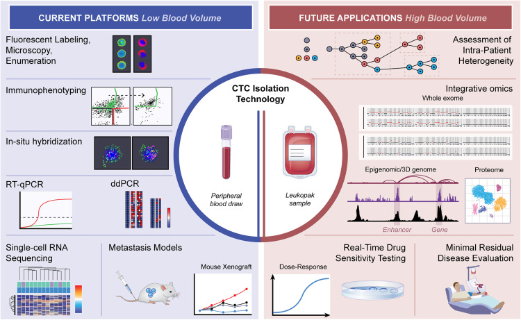 Circulating tumor cells: Blood-based detection, molecular biology, and clinical applications dlvr.it/TMWGK8