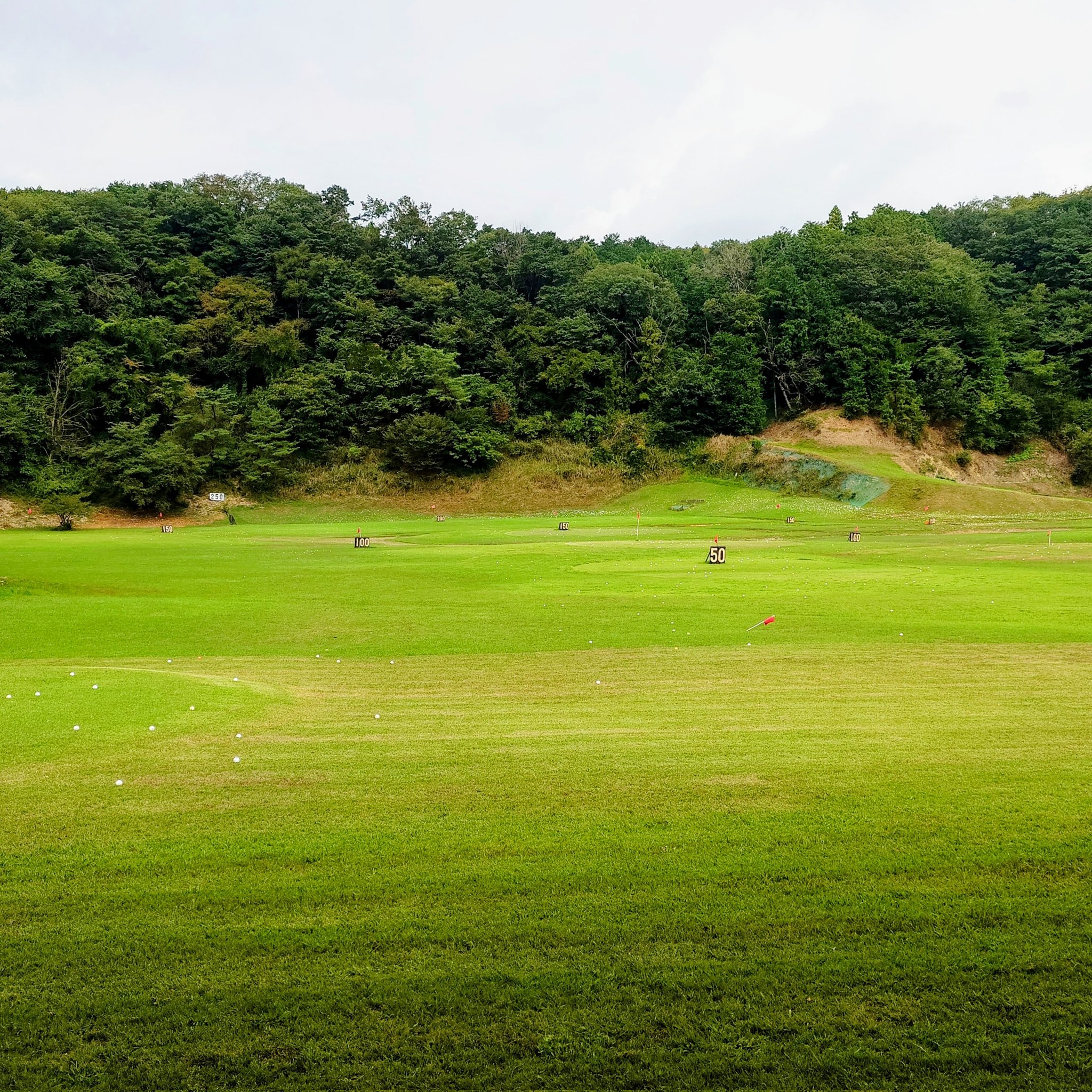 あやぱんだページ AYA a.k.a.PANDA в X: „RT @BIRTH_SEIJI: 2020/02/07〜08 #深夜