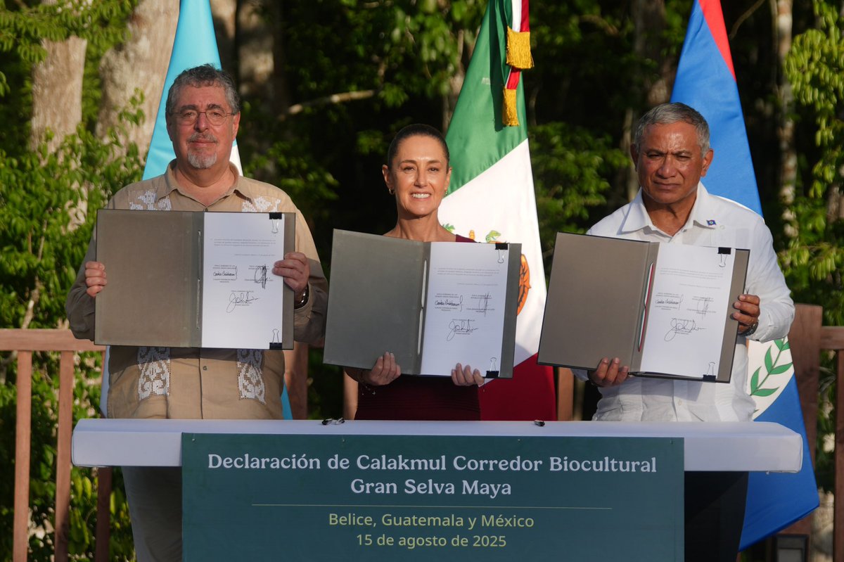 Gobierno de México (@gobiernomx) on Twitter photo Durante un encuentro histórico en Campeche, la presidenta de México, <a href="/Claudiashein/">Claudia Sheinbaum Pardo</a>, así como su homólogo de Guatemala, Bernardo Arévalo, y el primer ministro de Belice, Juan Antonio Briceño, firman la Declaración de Calakmul: Corredor Biocultural Gran Selva Maya.
El acuerdo Durante un encuentro histórico en Campeche, la presidenta de México, <a href="/Claudiashein/">Claudia Sheinbaum Pardo</a>, así como su homólogo de Guatemala, Bernardo Arévalo, y el primer ministro de Belice, Juan Antonio Briceño, firman la Declaración de Calakmul: Corredor Biocultural Gran Selva Maya.
El acuerdo