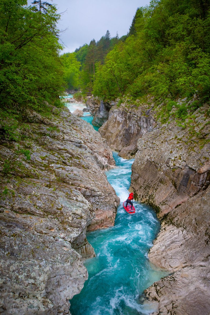 standuppaddletv's tweet photo. No room for doubt in this canyon — just focus, flow, and a whole lot of whitewater.
#WhitewaterSUP #IntoTheGorge #PaddlePrecision #AdventureAwaits
📸Andy Klotz
Enter our photo contest and share your photos: https://t.co/eKZQX78PFi https://t.co/i6h9sStc3O