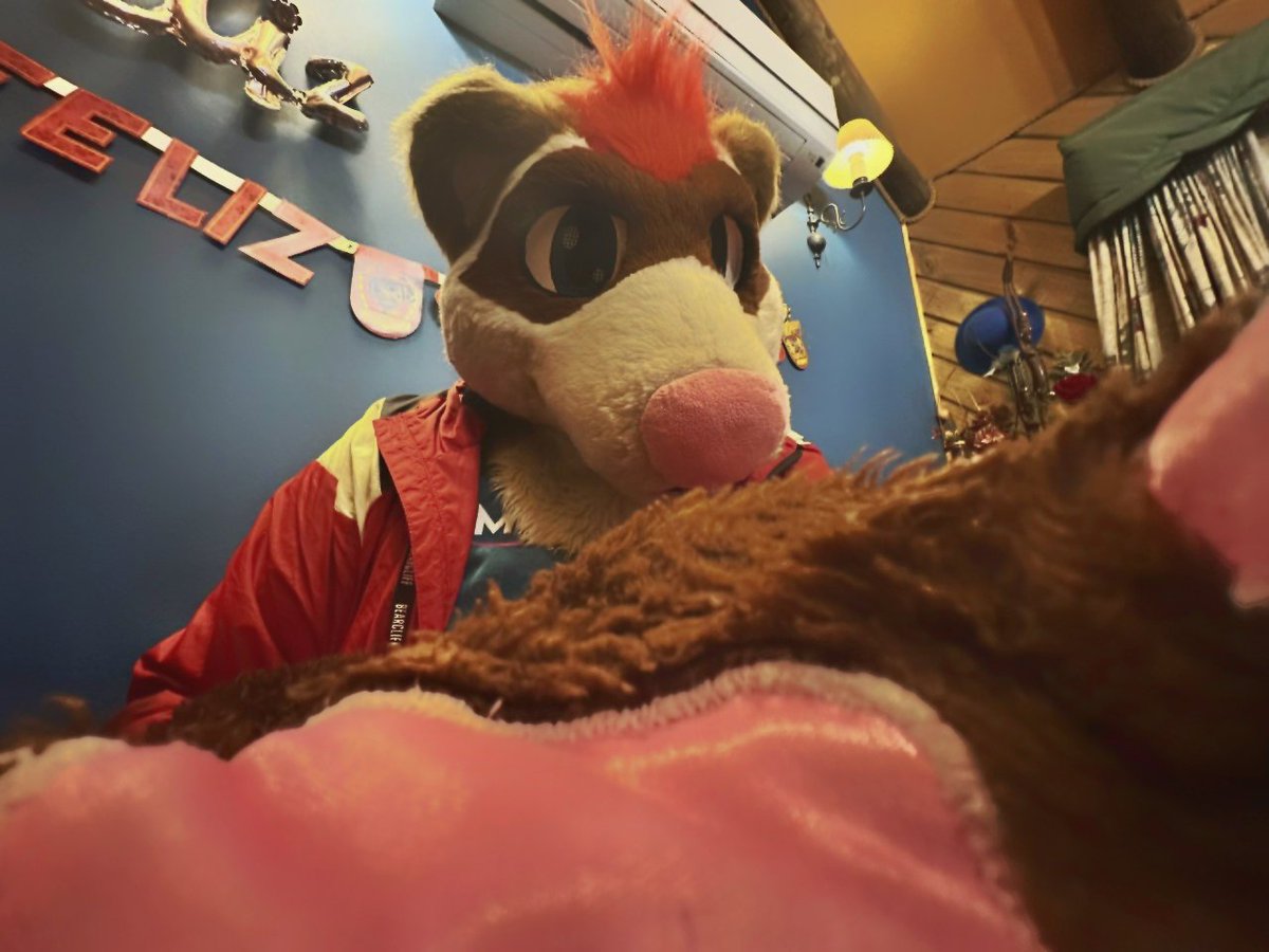 POV: You are a micro fur and I pick you up from the table
📷: <a href="/SoyPlopHat/">PlopHat🎩</a>  🪡: <a href="/UrsidaeSuits/">Ursidae Suits!</a>
#FursuitFriday