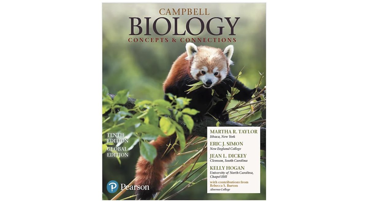 Simon Ghost Riley 🏳️‍🌈 🏳️‍⚧️ tweet media