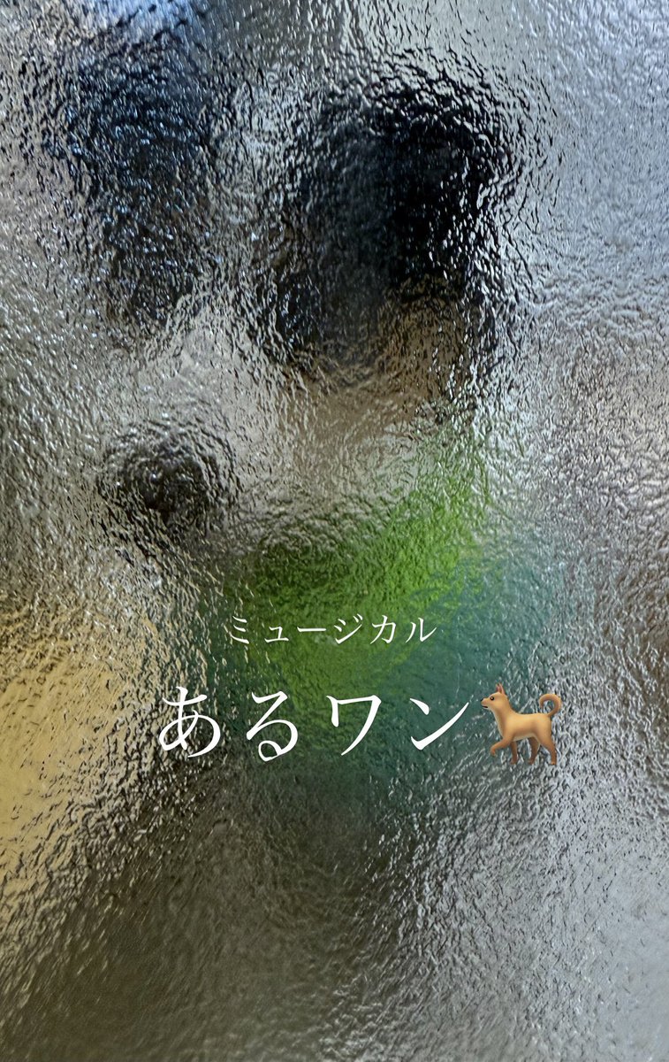 SNSであげてる人いて楽しそうだったからつい😁 家のドアの前に座って