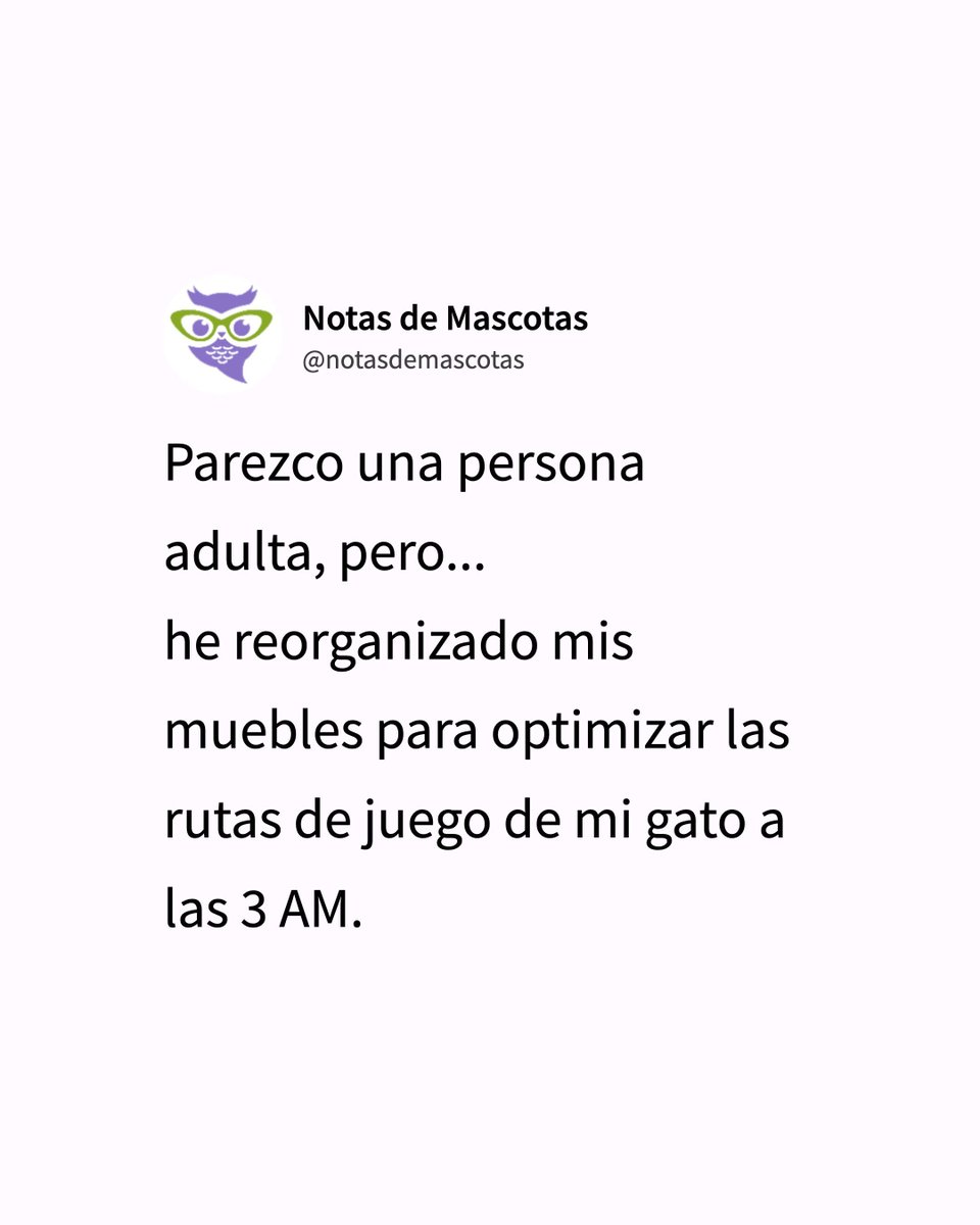 ¿Alguien más lo hace? 😻
#gatos