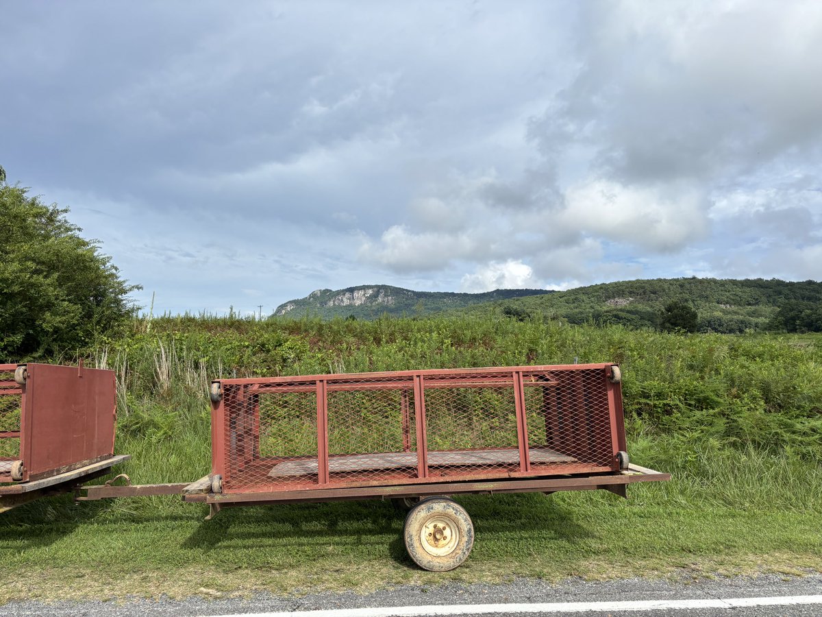 Real North Carolinians know what these are for 🍂