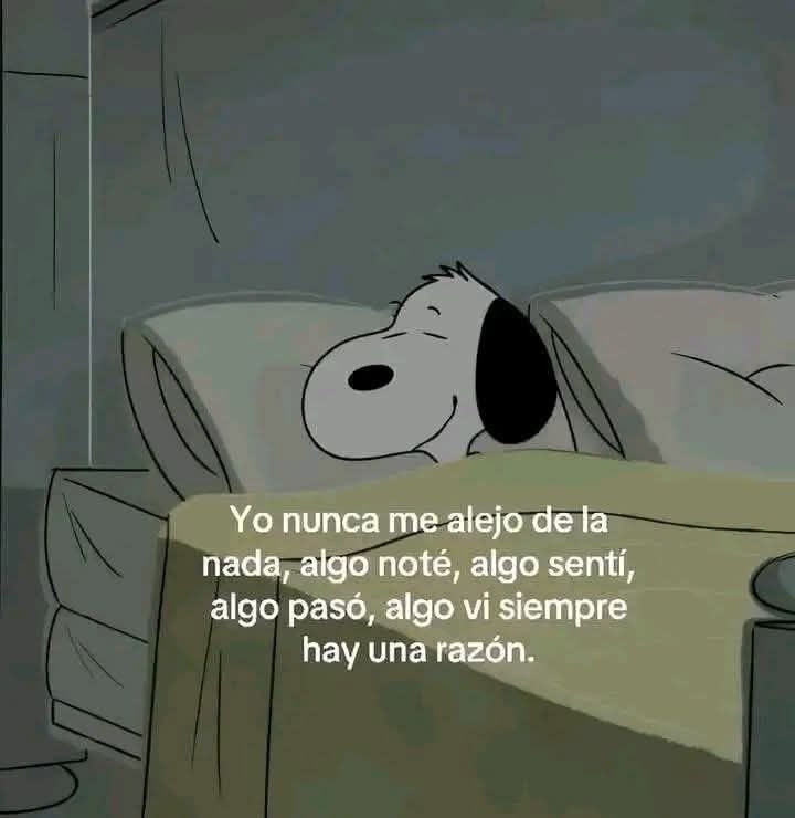 Pensamientos (@frasesimple) on Twitter photo 