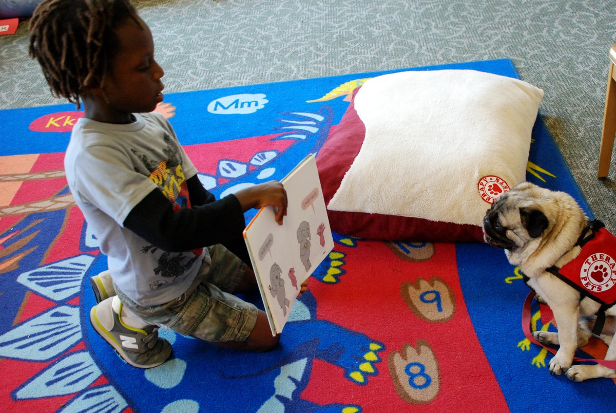 oaklibrary's tweet photo. Even dogs love a good book, but they can’t read without your help! Every Thursday at the Rockridge Branch and every 2nd Wednesday at the Lakeview Branch, children are welcome to read in the calming presence of therapy dogs. 📖🦮

Learn more: https://t.co/a8FVWJbQJt https://t.co/aPAP8muzD3