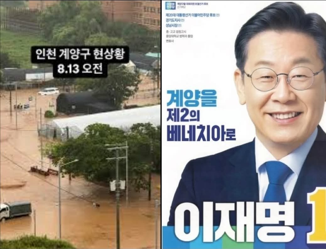 밝은해 tweet media