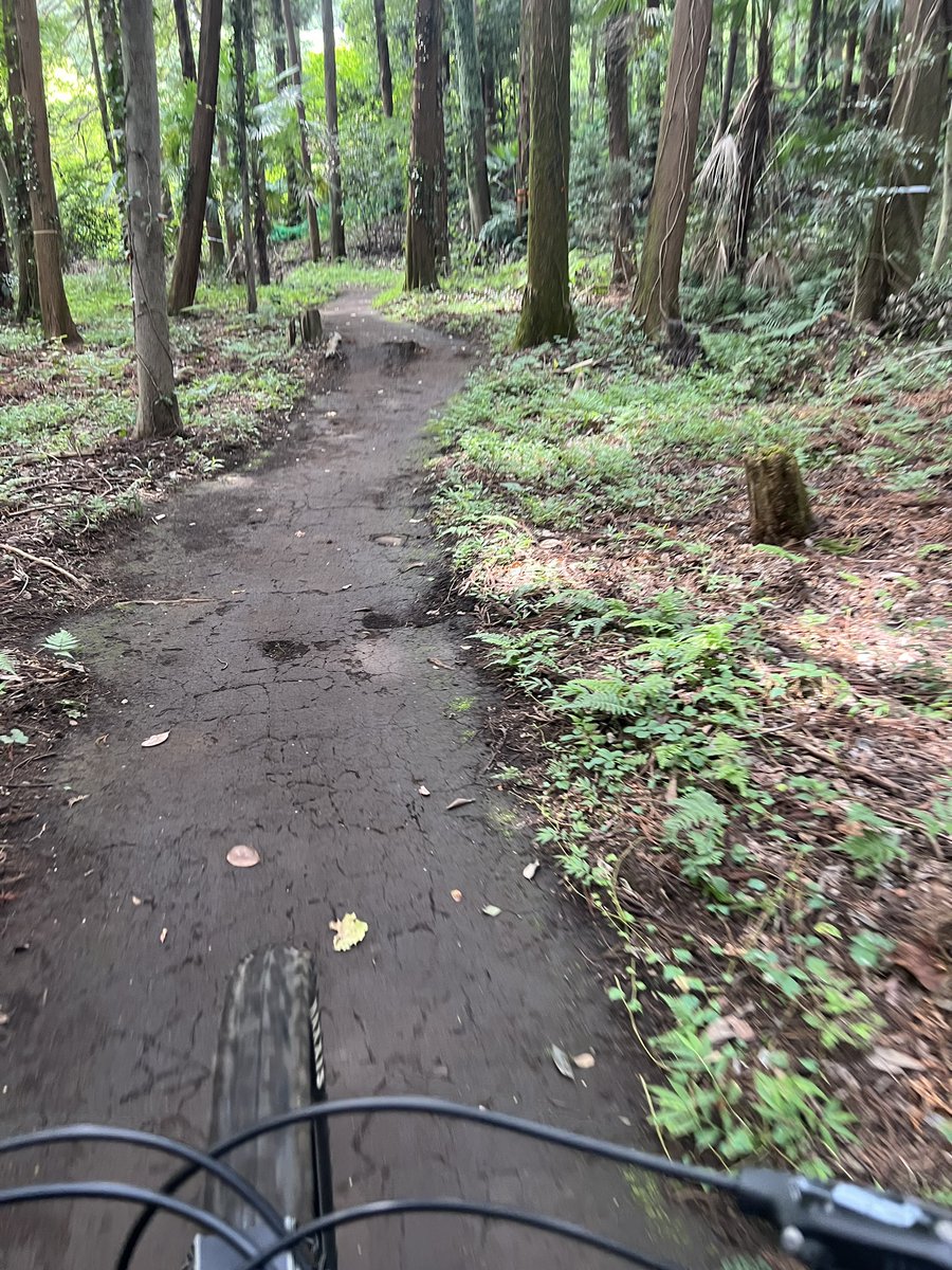 BeemerNoble's tweet photo. まじか、、、
まだ20分しか経ってないのに、、、
ヘロヘロ https://t.co/bWrmf7cXdR