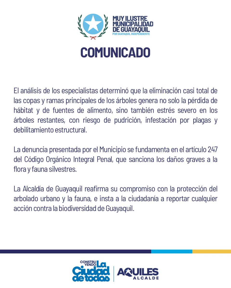 📢 COMUNICADO OFICIAL

Sobre la poda drástica e ilegal de nueve árboles Ficus en la urbanización Las Garzas, informamos que el Municipio de Guayaquil presentó una denuncia ante la Fiscalía del Guayas por el daño causado a la biodiversidad urbana.

Más detalles en el siguiente