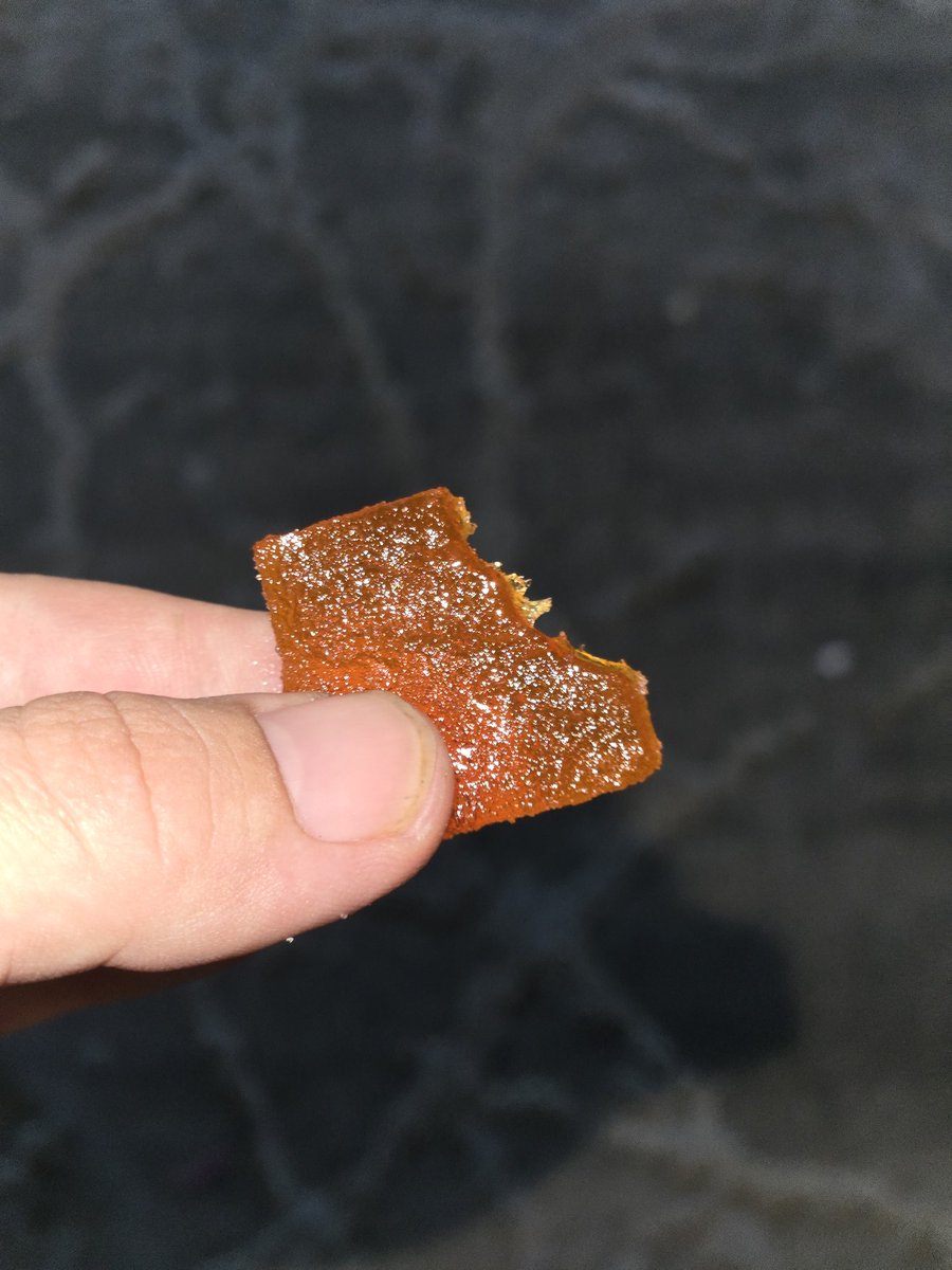 TrashPanda19XX's tweet photo. Last one @CryptoChronicX #StonerFam and #stonerbabes of #Mmemberville https://t.co/qmuRaAKPvC