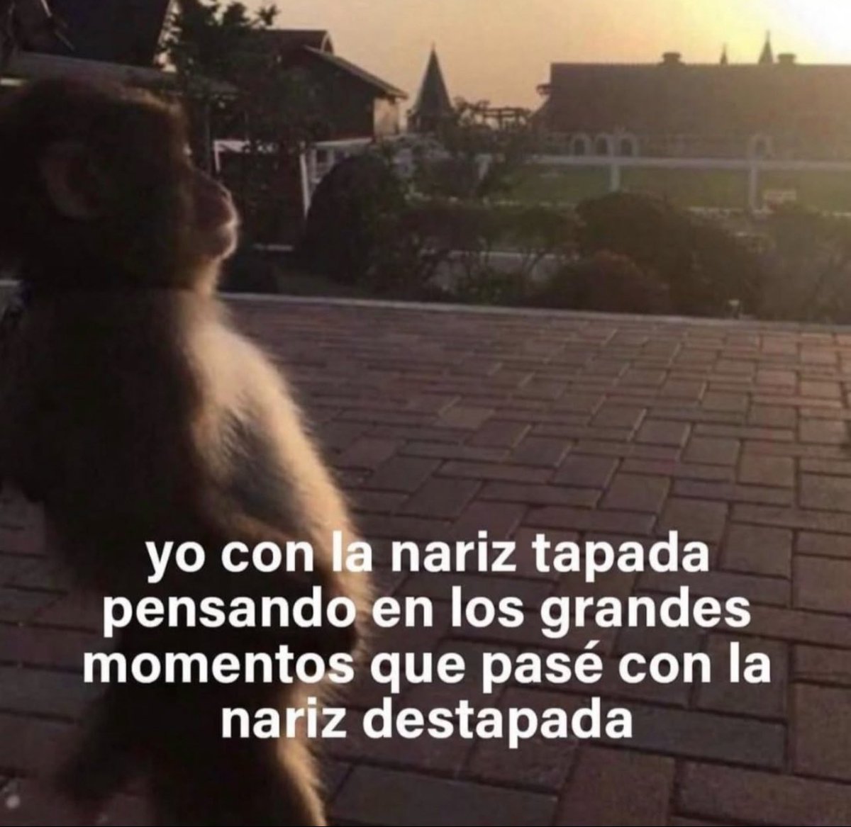 Guarromantico_'s tweet photo. Qué momentos! https://t.co/yOZVe5VOHC