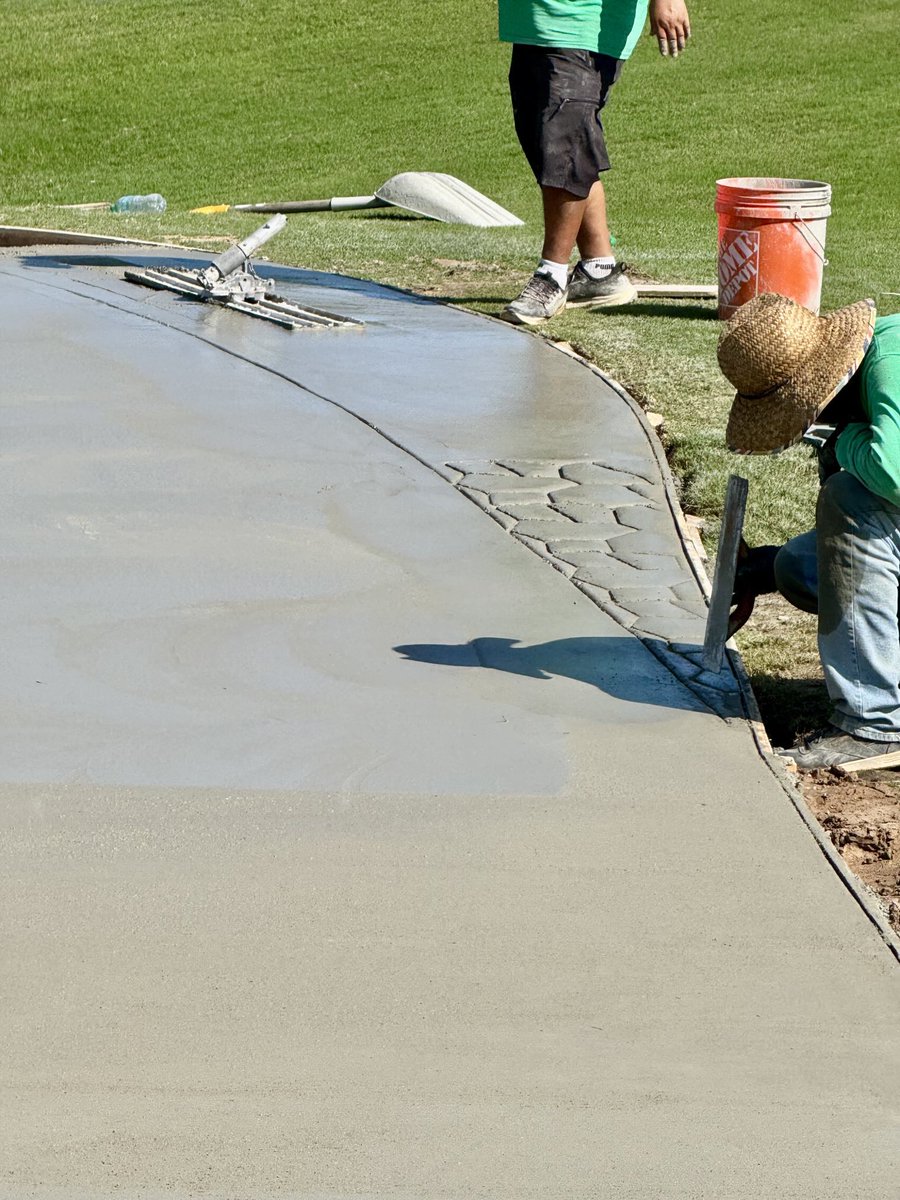 David B Levin tweet media