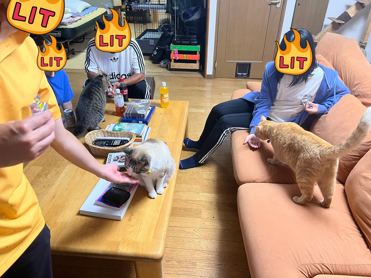 lamp_game_'s tweet photo. 盆休み、充実…✨ https://t.co/5tBkgEnBQF