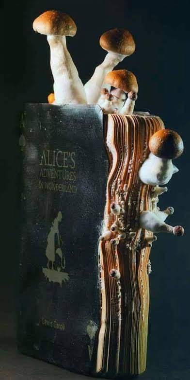 <a href="/ObsNaturalistas/">Observações Naturalistas</a> Tem essa foto do Igor Siwanowicz, onde foi utilizado um exemplar de Alice no País das Maravilhas no cultivo de alguns cogumelos mágicos.