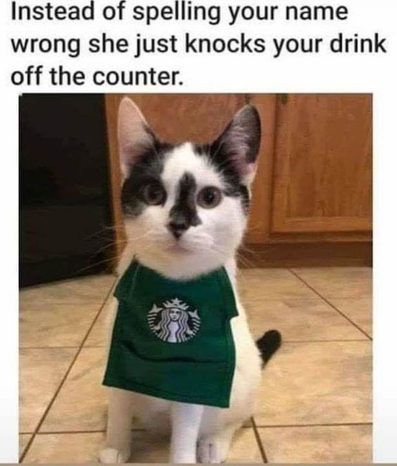 🐱☕️