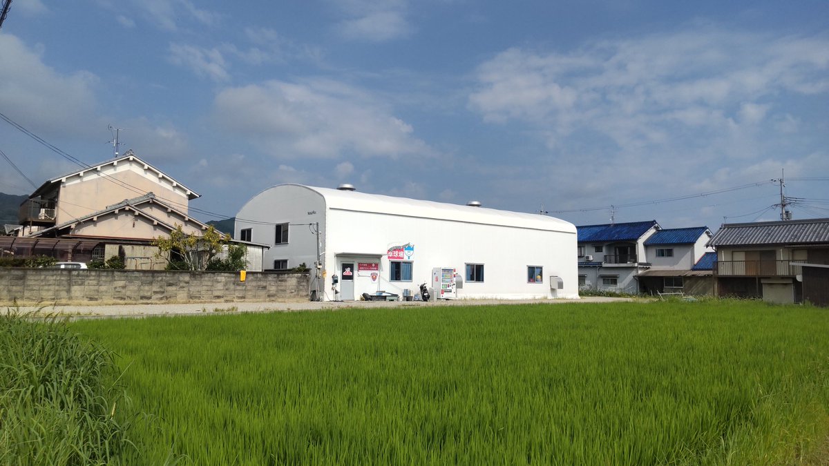 おはようございます🐈️
奈良県の今朝は快晴☀
盆休みなんてありません
卓球場はすでに33℃…

本日半面3台レッスン&amp;予約済。半面3台貸台🆗です
07056615403まで📲

お仕事の方お疲れ様です
お休みの方よき週末を👏

#企業公式が毎朝地元の天気を言い合う 
#企業公式相互フォロー