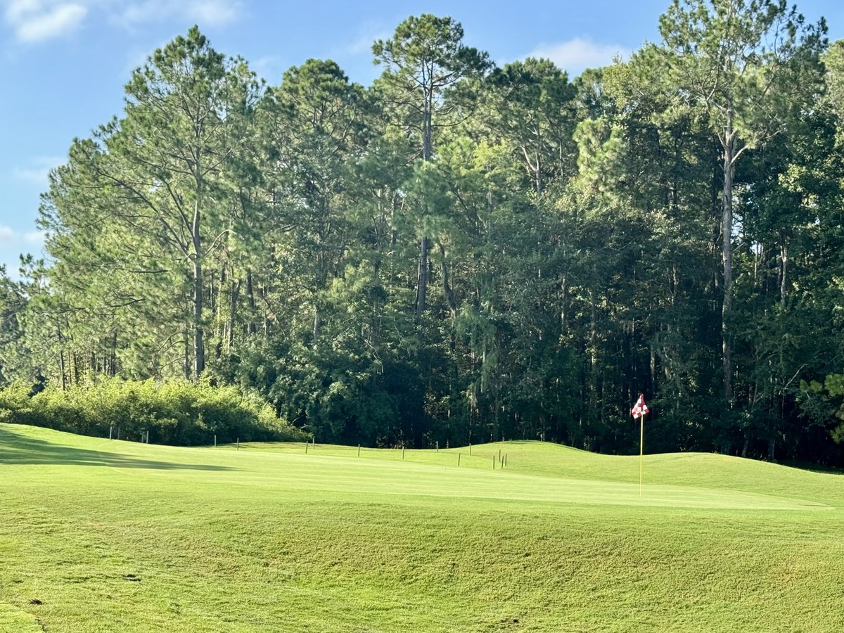 David B Levin tweet media