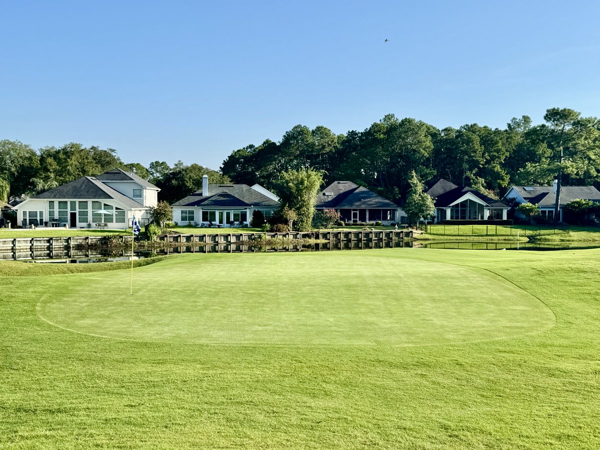 David B Levin tweet media