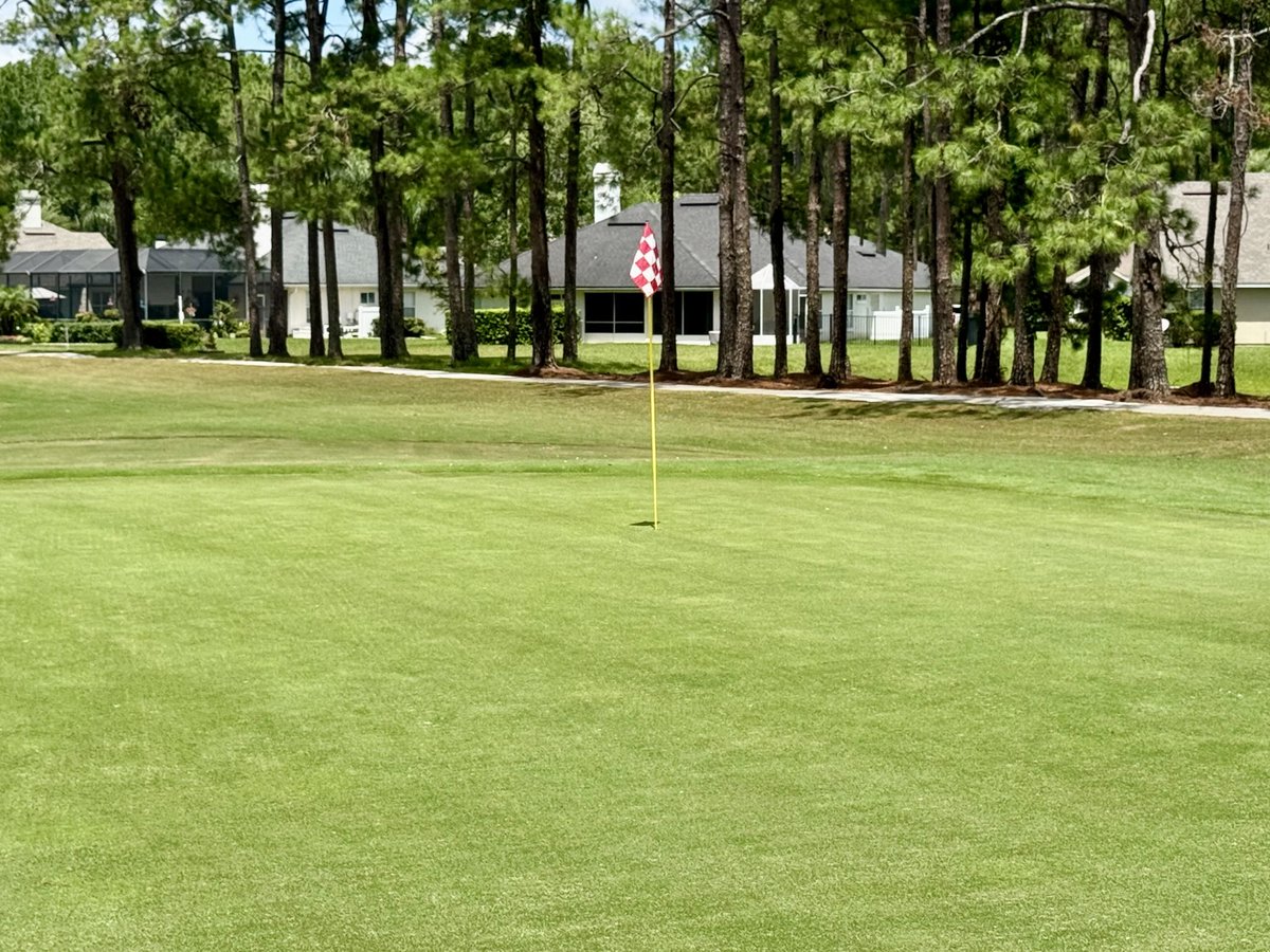 David B Levin tweet media