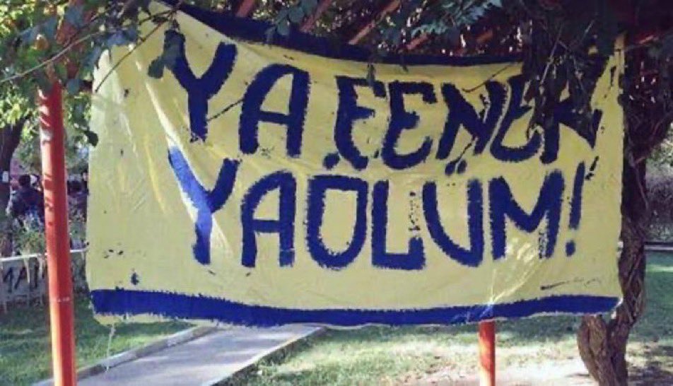 GELİYORUZ