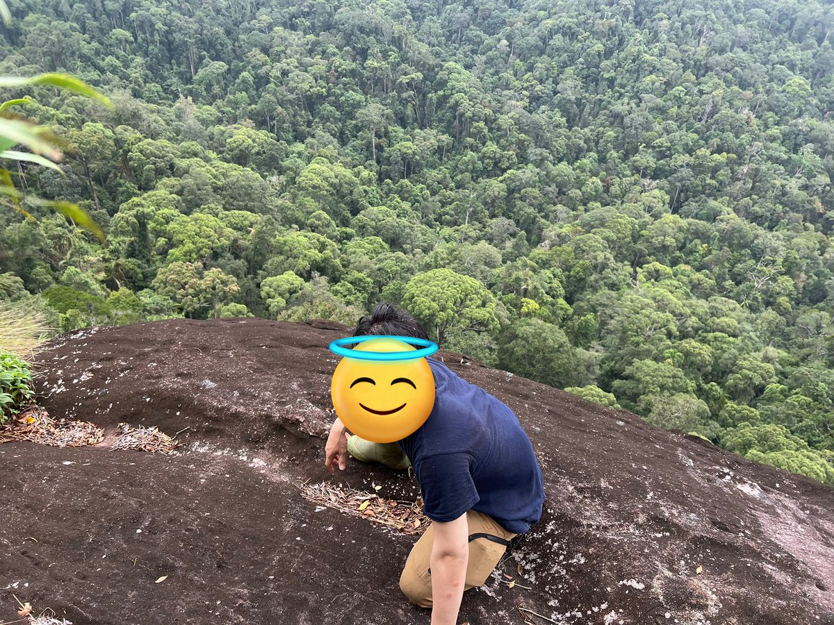地獄のスリランカ遠征を敢行
ニグリータツヤ♀
ガンディーネブト幼虫
謎ツヤクワガタの幼虫
体はヒルまみれ、1週間ゾウやキングコブラが蠢く熱帯雨林で彷徨い続けた
出国時は全ての荷物、服の中まで持ち出ししていないか厳しいチェックを受けた。自然保護に対する意識の高さを感じた