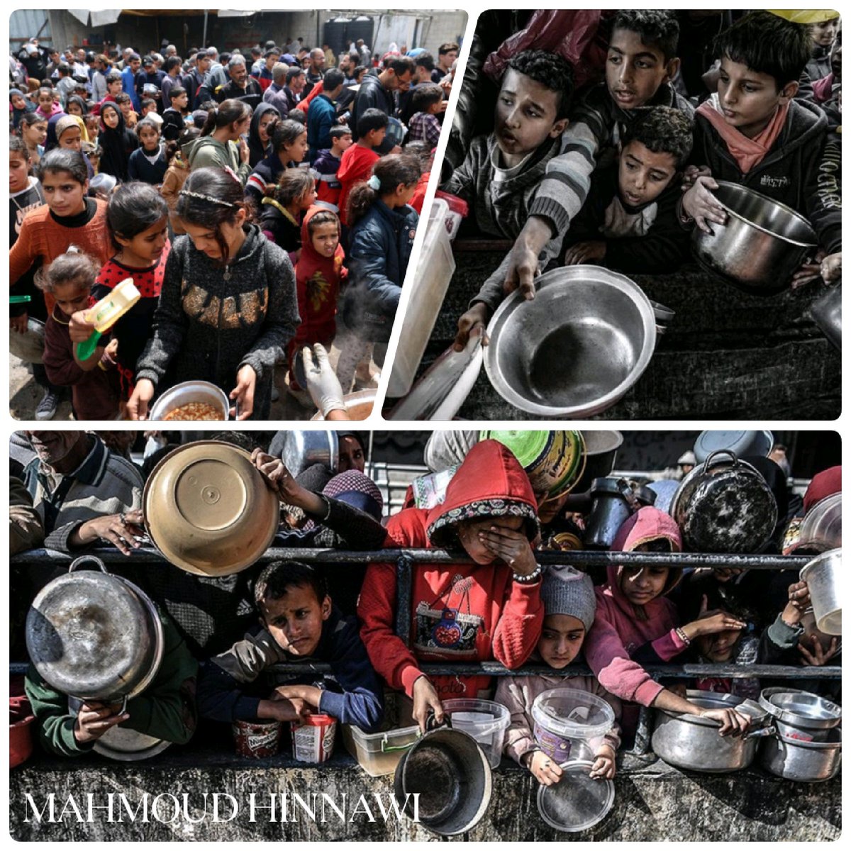 Famine grips Gaza, tearing families apart and shattering hope. We must ensure access to food, clean water, and medical care for every civilian. Stand with Gaza. #Gaza #StandWithCivilians
buymeacoffee.com/mahmoudhinawi