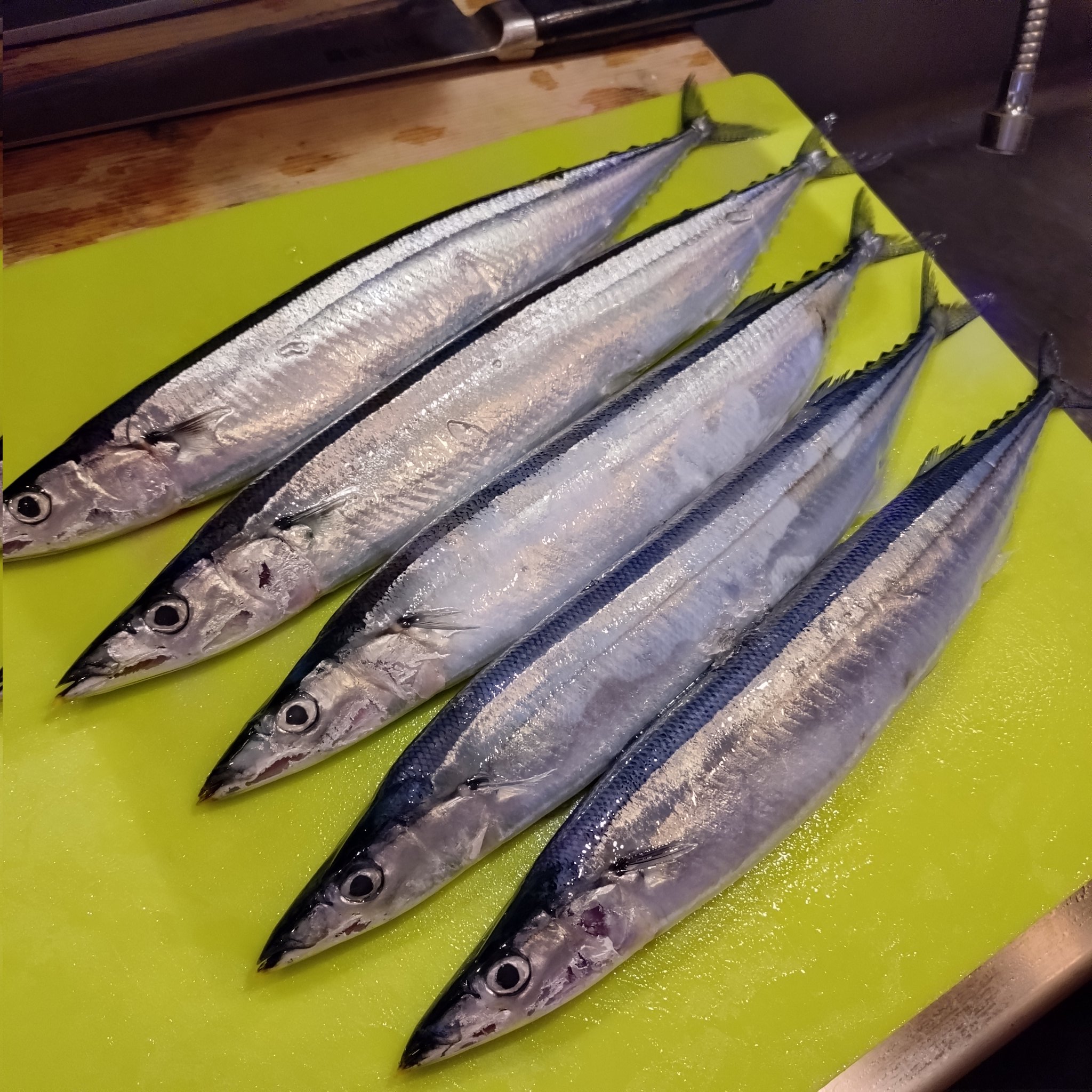 魚心　こころ 11 セイコー ルキア＞「フラワーガーデン」をテーマとした新作が