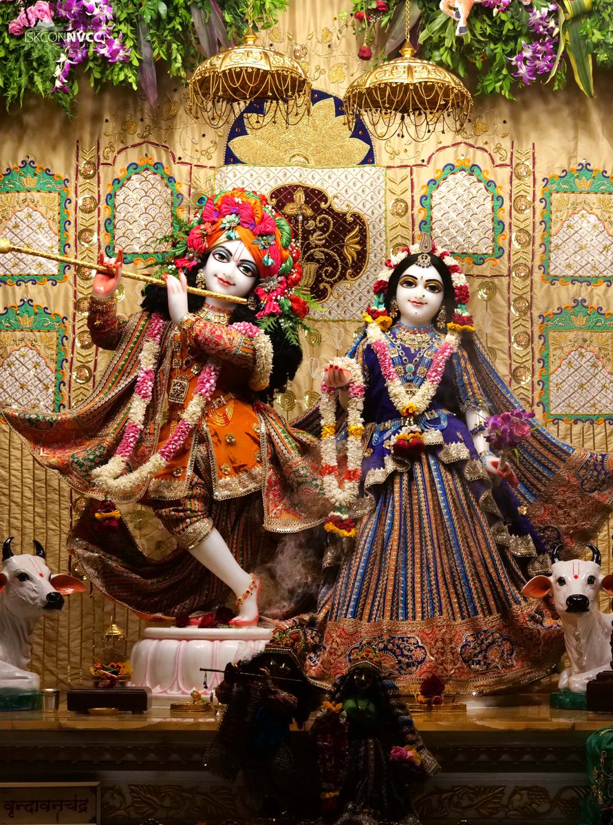 ISKCONPune's tweet photo. 🌷Mangal Arati Darshan🌷🗓16/08/2025🙏 🚩@ISKCONNVCCPune🚩
.
.
#ISKCON #ISKCONNVCC #ISKCONNVCCPune #ISKCONPune
#16thaugust #16thaugust2025 #Saturday #janmashtami #krishna
#krishnajanmashtami #janmashtamispecial
#happyjanmashtami #janmashtami2025 #Vrindavan
#Harinaamsankirtan https://t.co/Dhk0s57GYu
