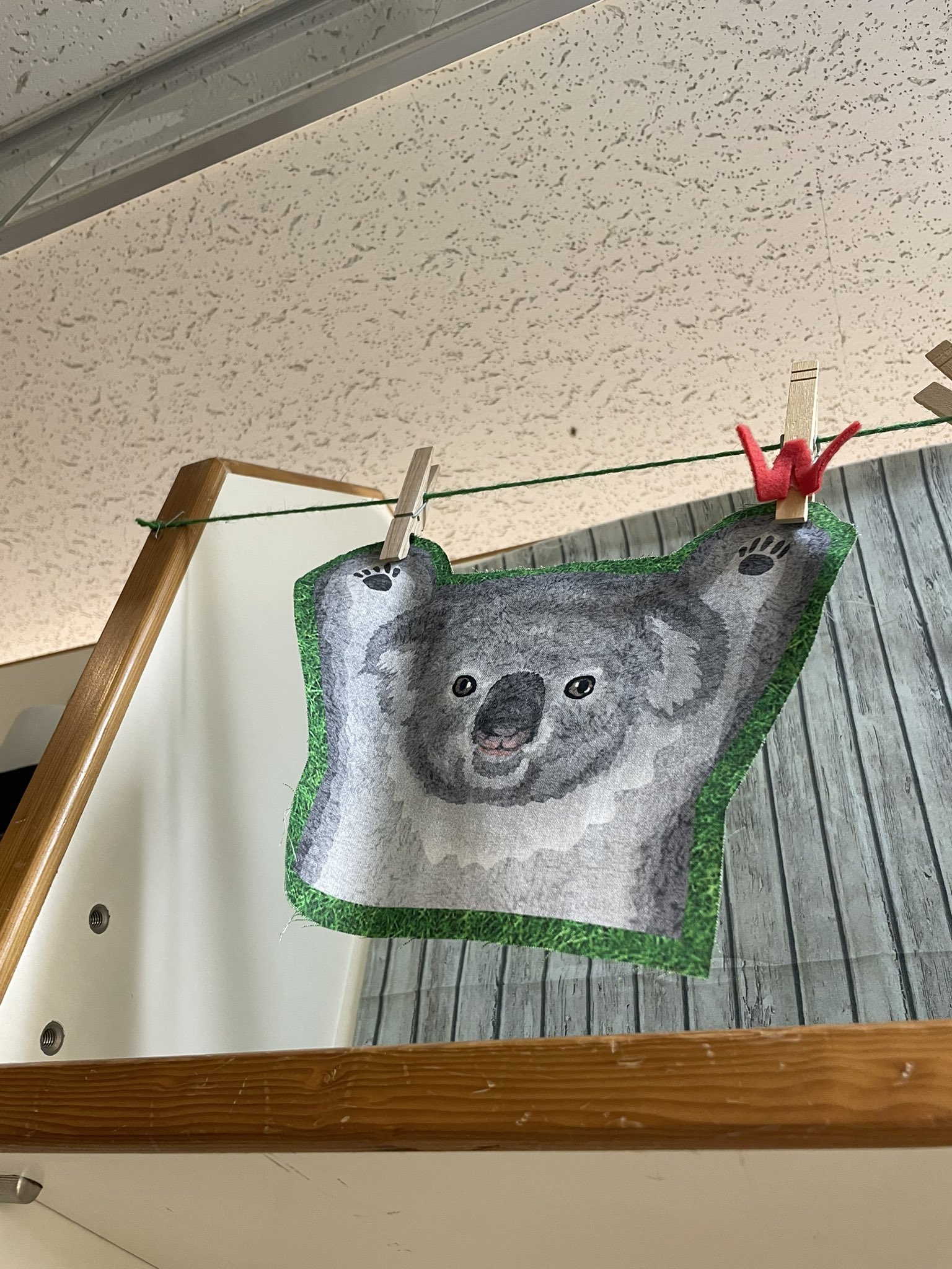 コアラ　他の方はご遠慮願います 250506 不貞腐れてる？🤣 多摩動物公園#多摩動物園#koala#コアラ