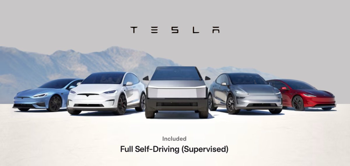 Nic Cruz Patane tweet media