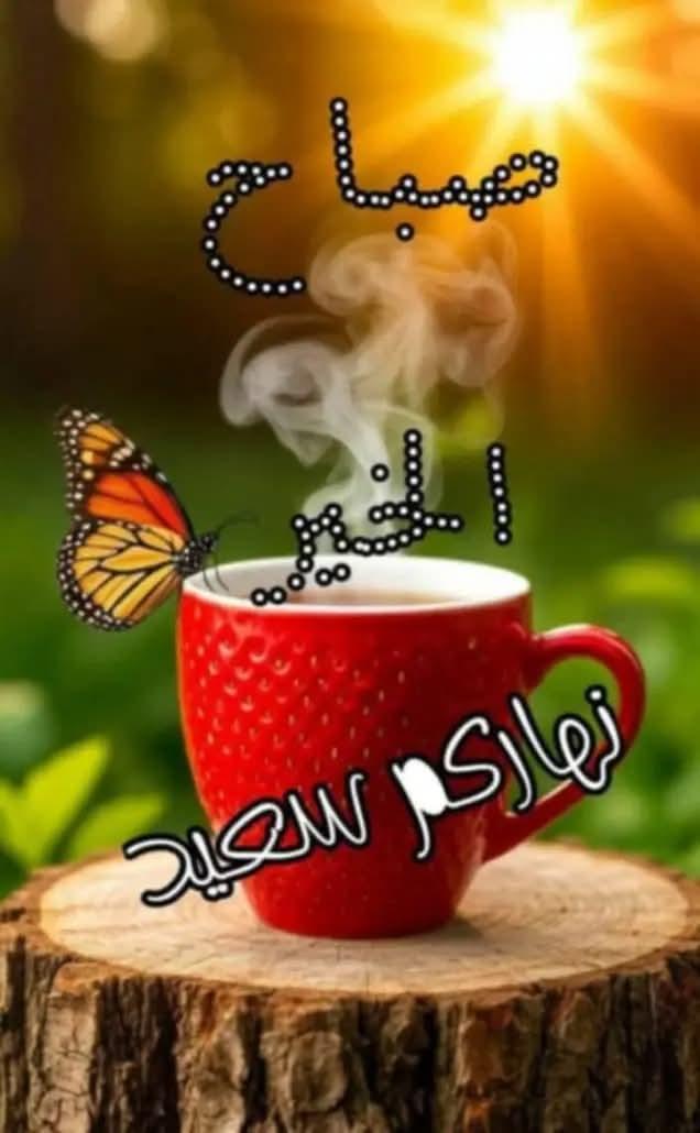 QysrQsr's tweet photo. @AhanaAya https://t.co/STMFN3xRhd
