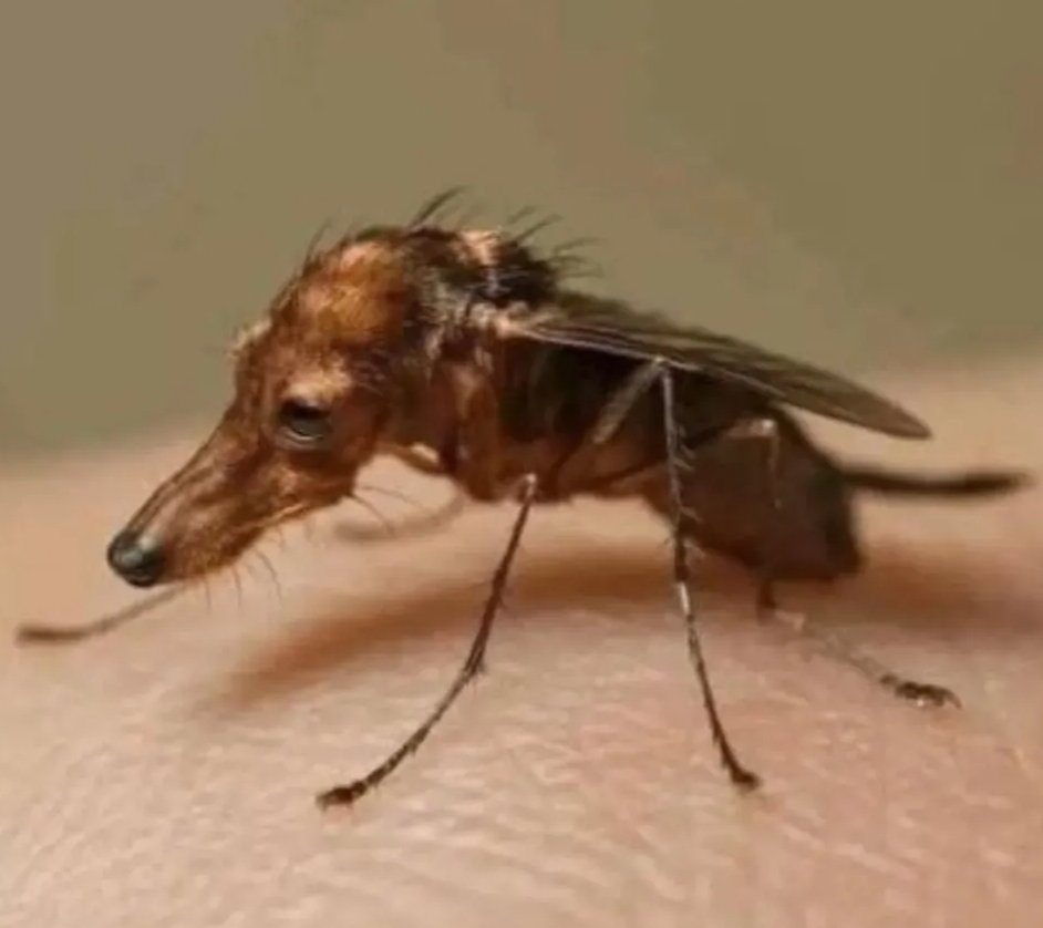 Delta6870 tweet media