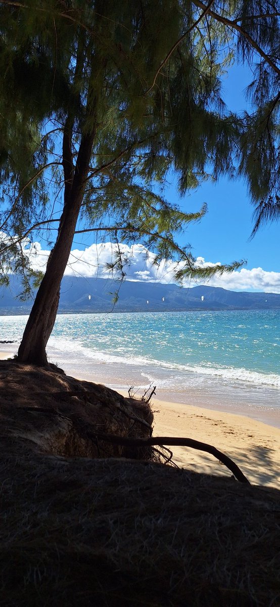 HypnoRaygun tweet media