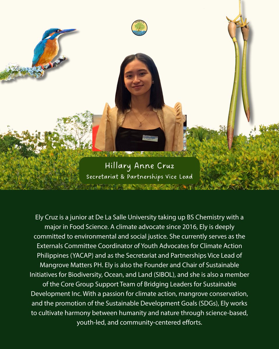 Mangrove Matters PH tweet media