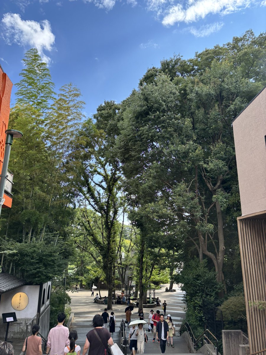 セミの鳴き声がすごい。