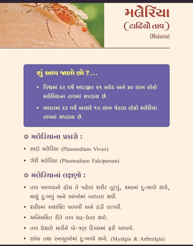 Thonetrang bharuch tweet media