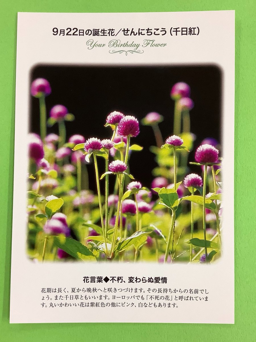 誕生花 - Search / X